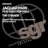 The Change (Midnight Society's Drum Nation Remix) - Jaguar Paw&Bass Rokwell