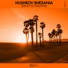 Serenity (R1TURAJ Remix) - Hushrov Bhesania&R1TURAJ