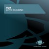 Love Is Gone (O.B. Remix) - Vok