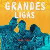 Grandes Ligas(feat. KS, RP & Mk Mercy) - ORL RECORDS&ks&Nena&Mk Mercy