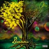 This Plane (feat. Marvay) - Olii&Marvay