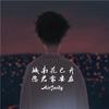 城南花已开，愿君常安在 - AirJordy