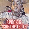 She the Truth (feat. A.O.) (Explicit) - Spook G.&A.O.