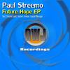 Sunset Avenue (Original Mix) - Paul Streemo