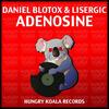 Adenosine (Original Mix) - Daniel blotox&Lisergic