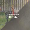 Follow Thoroughly - Maric Delin