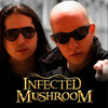 Smahuta - Infected Mushroom