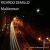 Layer (Original Mix) - Ricardo Demillo