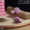 City Lights (Original Mix) - Juloboy&DJ Crown