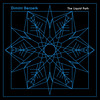 The Liquid Path (Vyrtual Zociety Remix) - Dimitri Berzerk&Mario Monk&Vyrtual Zociety