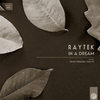 Motion (Original Mix) - Raytek