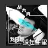 我只想躲在车里 - 胡大亮