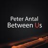 Between Us - Peter Antal