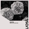 Summer Love (Alexei Maslov Remix) - Spaceptima