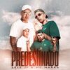 Predestinado - Mc Lele JP&MC Marks&Dj Betinho&WR OFICIAL