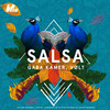 Salsa (Extended Mix) - Kamer&Vølt