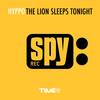 The Lion Sleeps Tonight (Radio Edit) - Hyppo