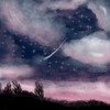EUPHORIA SECRET - OBLXKQ