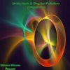 Palladium (Original Mix) - Dmitry Hertz&Oleg Sod