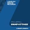 Snap Attack (Original Mix) - Paul2Paul