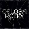 Celosa (Remix) - Jortyz DJ&Nacho Radesca&DJ Bianca Lif