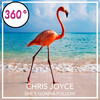 She's Gonna Follow - Chris Joyce