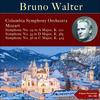 I. Allegro moderato - Columbia Symphony Orchestra&Bruno Walter
