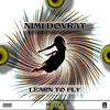 Learn To Fly (Original Mix) - Nimi Dovrat