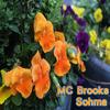 Sohma - MC Brooks