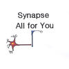 All for You - Synapse