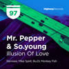 Illusion Of Love (Bu.Di Remix) - Mr. Pepper&So.young&Bu.Di