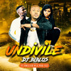 Undivile - DJ Biblos&Anelisa N&Pro-Tee