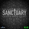 Sanctuary (Acoustic) - Froggy Maddsquad