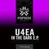 In The Dark (Original Mix) - U4EA