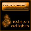 Guitarrissimo (Loquai Remix) - Tarmo Tammel