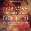 Dancing In The Sun (Original Mix) - Tom Novy&Amadeas