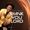 Thank You Lord - Alex Greene