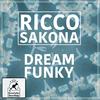 Dream Funky - Ricco Sakona