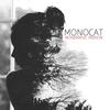 Wonderful Person (Mier Remix) - Mier&Monocat