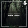 Dark Force - Emre Kabak&Satsuma Music