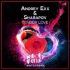 Tender Love (Original Mix) - Andrey Exx&Sharapov