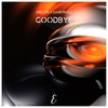 Goodbye - 2nd Life&Sane Music