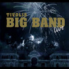 But Beautiful - Tivolis Big Band&Van Heusen&Burke