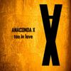 Too In Love (Club Mix) - Anaconda X&Jessica BX