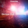 Section 19.01 [Homicide] - Tshayina