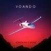 Voando (Explicit) - Moraiz&Borge$Gang