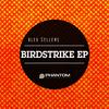 Birdstrike (Original Mix) - Alex Sellens