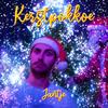 Kerstpokkoe (Explicit) - Jantje