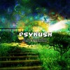 Next Planet (Original Mix) - PsyKush&Wanted