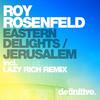 Jerusalem (Original Mix) - Roy Rosenfeld